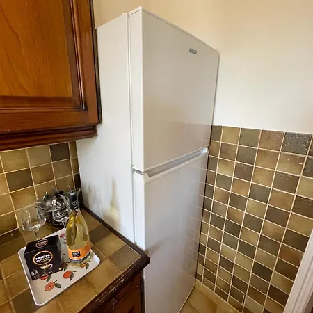 Au Bord De A Les Palmiers *