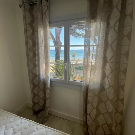 Au Bord De A Les Palmiers *