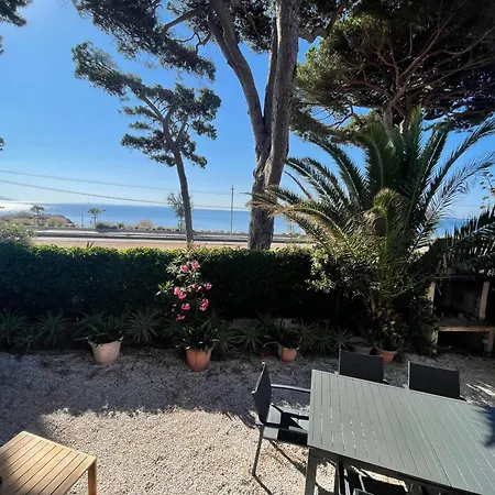 فيلة Au Bord De A Les Palmiers