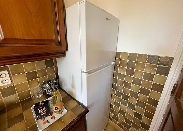 Au Bord De A Les Palmiers *