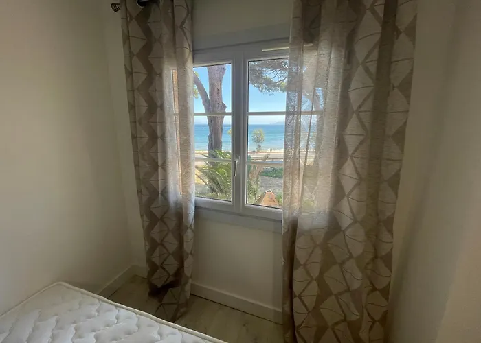 Au Bord De A Les Palmiers *