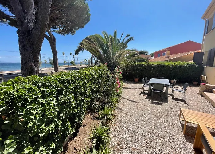 Villa Au Bord De A Les Palmiers *